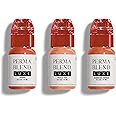 Perma Blend Luxe - Nude Lip Set - Microblading Lip Blushing Kit with Henna, Peach Veil & Subdued Sienna Tattoo Ink Shades - Vegan & Cruelty-Free - 3 Count (0.5 oz Each)