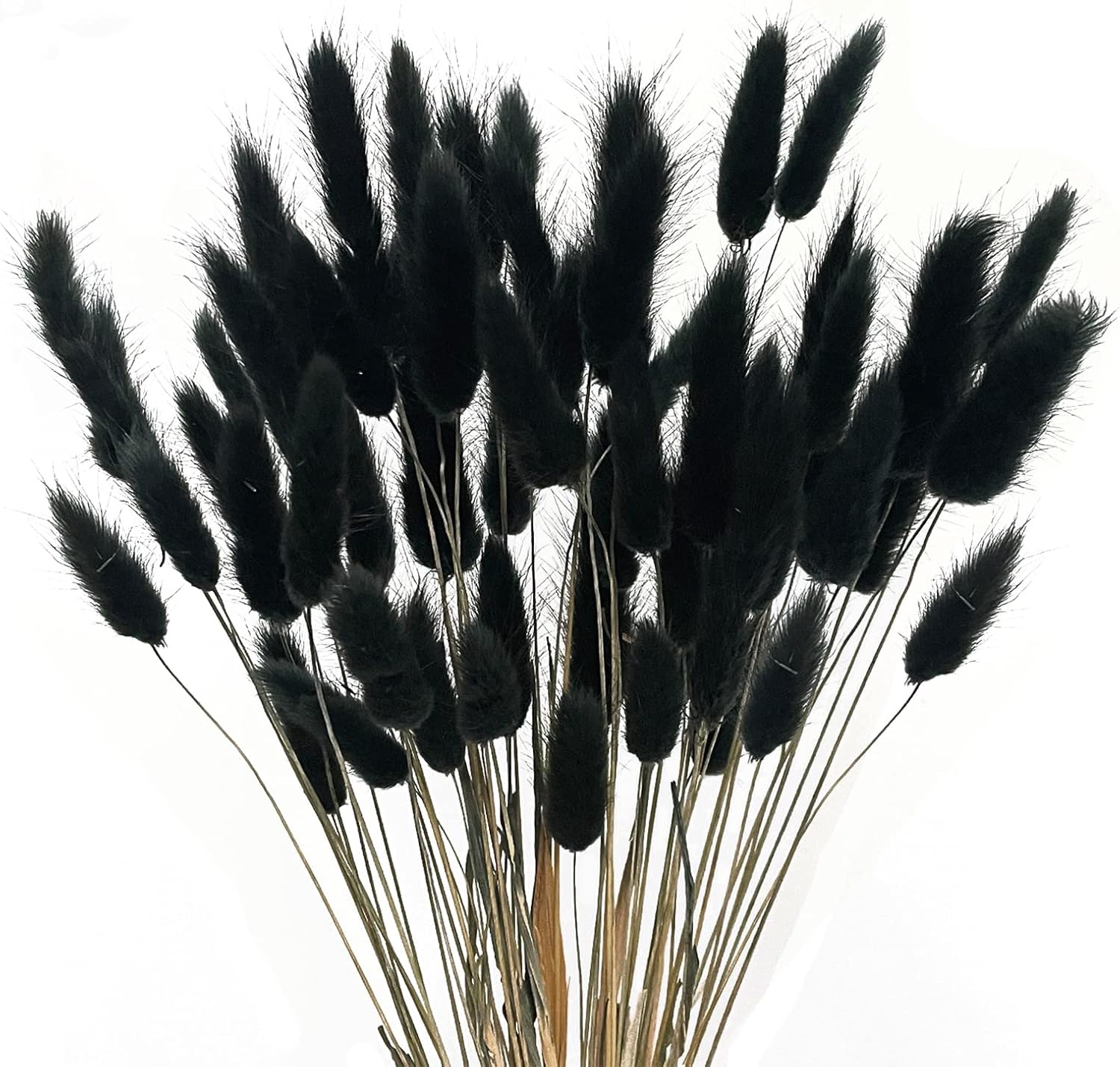 Dried & Preserved Flora - XHXSTORE 60pcs Dried Bunny Tails Flowers Black Pampas Grass Dried Fall Flowers Natural Lagurus Ovatus Dried Floral Arrangement Dry Flowers for Boho Home Wedding Halloween DIY Craft Decoration (16