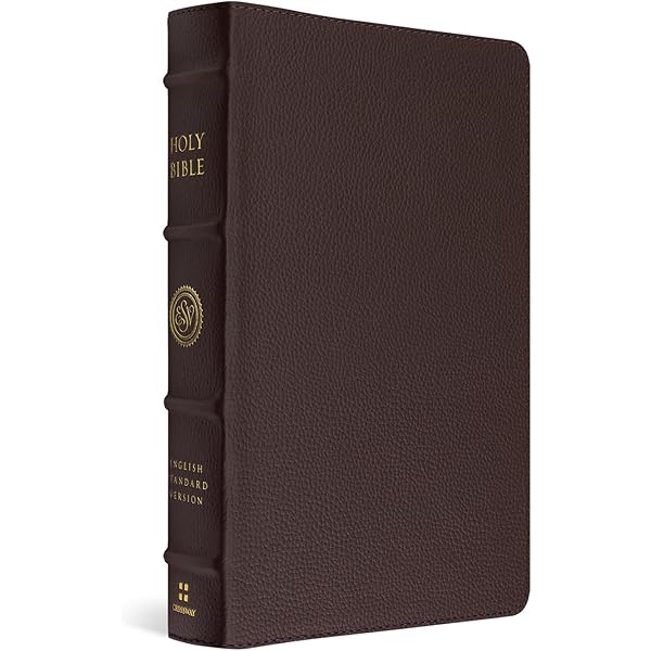 洋書 The HOLY BIBLE English standard version The Holy Bible, English Standard Version (with Cross