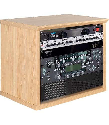 Amazon.com: Lindell Audio 510 Power MKII : Musical Instruments