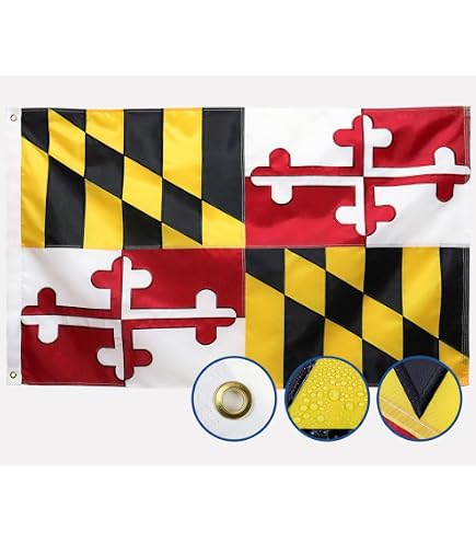 Amazon.com : Annin Flagmakers Maryland State Flag - 2 x 3 Feet