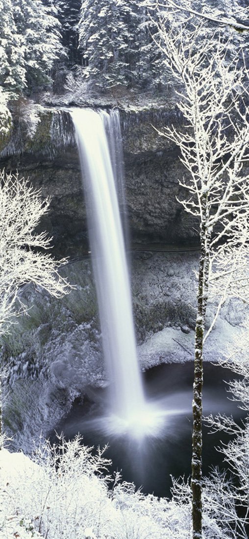 PeelitStickit, Beautiful Nature Wall Murals, ID-1196, vinyl