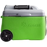 ryobi 18v cooler