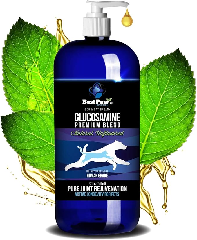 best glucosamine for cats