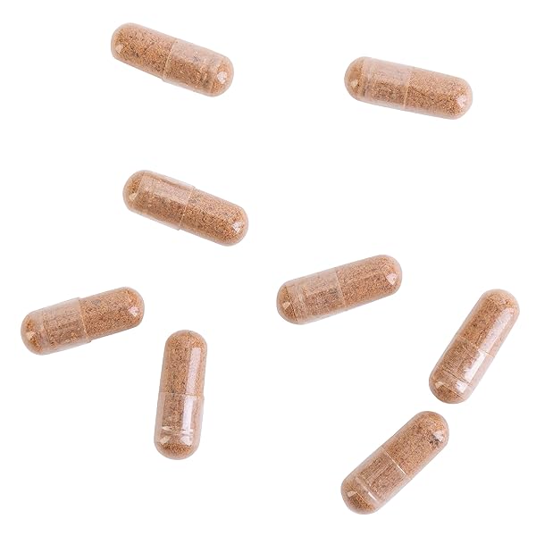 KROEGER HERB PRODUCTS, RASCAL, BALANCED GUT & HEART HEALTH WITH HERBS LIKE GARLIC, CAYENNE, PUMPKIN SEEDS, VEGETARIAN, NON-GMO, GLUTEN FREE, NO PRESERVATIVES, HEALTHY MICROBIAL BALANCE, MADE IN USA