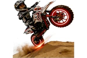 50cc Mini Dirt Bike for Kids & Adults, 2-Stroke Gas Dirt Bike with Off-Road Tires Dual Disc Brakes Shock Absorption, 40 KM/H 