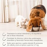 Beaphar IntestoPro Prebiotic Stool Firming Paste for Cats & Small Dogs 1 Syringe view 5