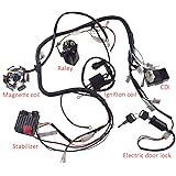 Amazon.com: Supermotorparts 150CC GY6 Wiring Harness Wire Loom Stator
