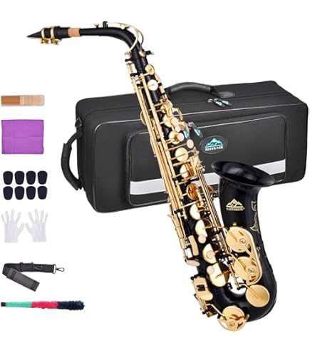 Amazon.com: Eldon by Antigua AS-22 Eb Alto Saxophone Lacquer