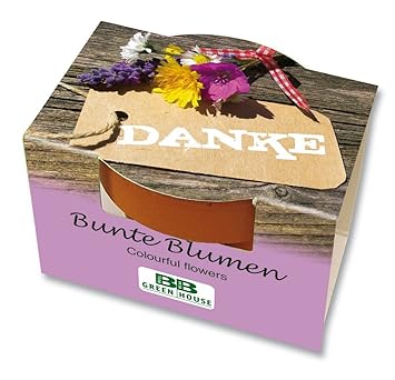 10er Set Mini-Pflanzset 'Danke'