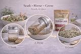 Nature’s Root Organic Radish Mix 250g Microgreen Sprouting Seeds view 4