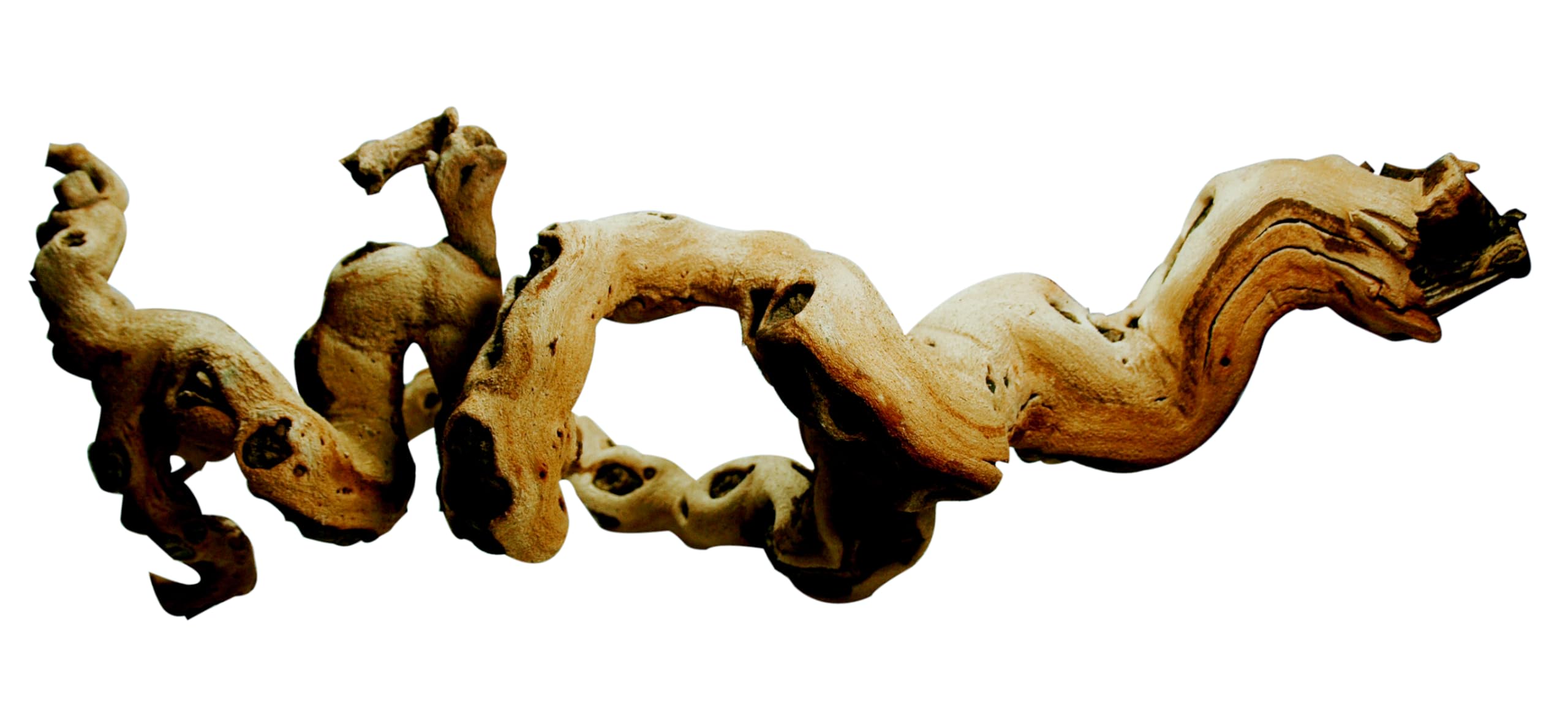 Lucky Reptile DLP-L Premium Grapevine (shape and size vary)