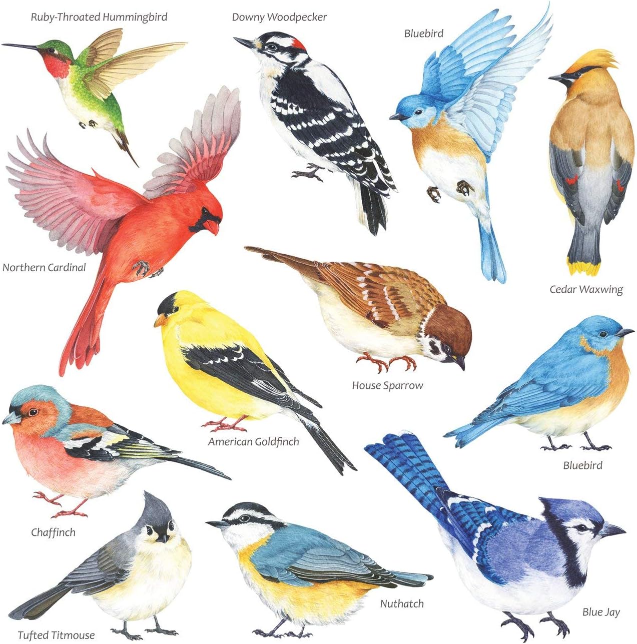 DECOWALL DS2-8042 Little Birds Wall Art Stickers Colourful Flying Birds Wall Decals Removable Garden Decorations Poster Bedroom Kitchen Living Room (Small)