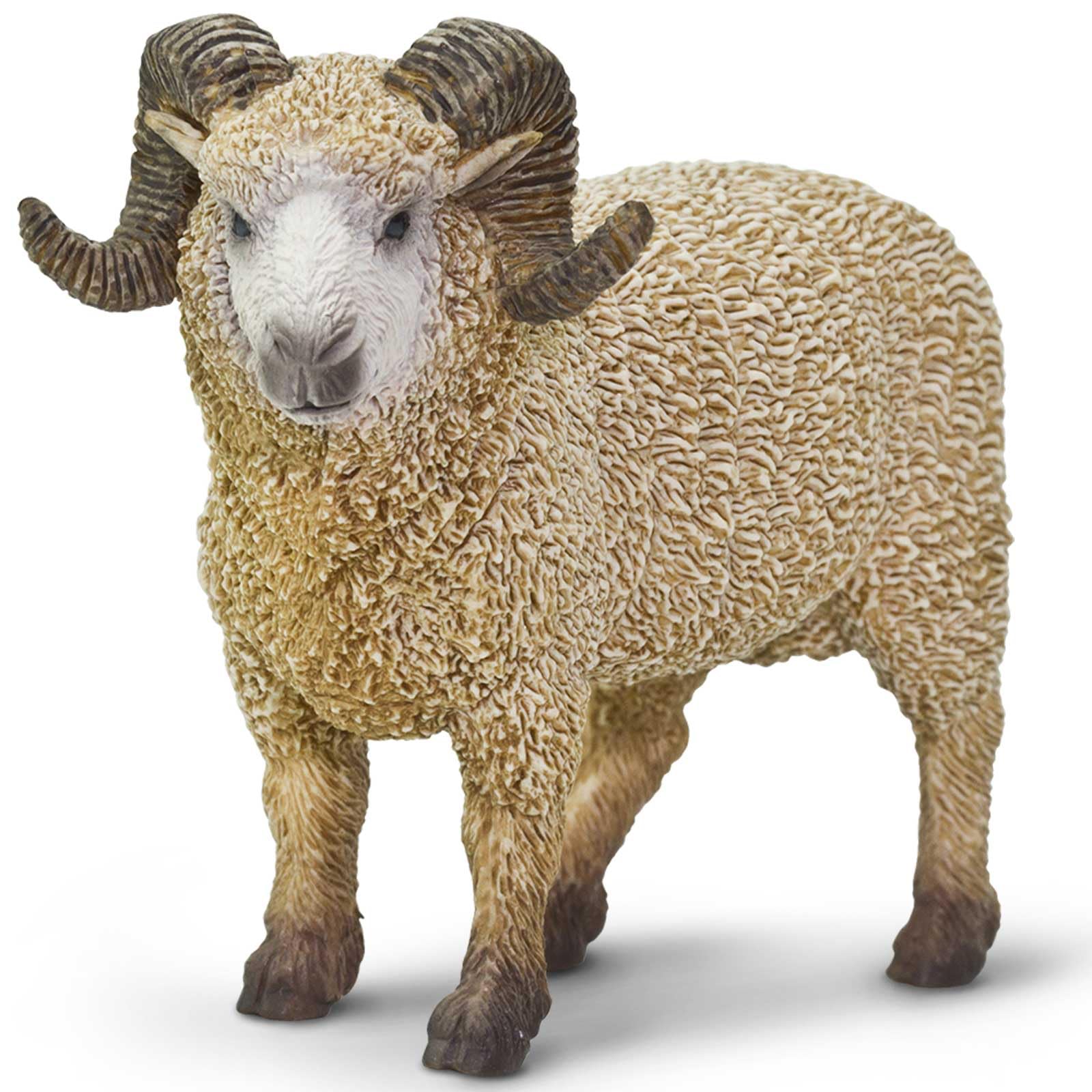 Safari S161429 Farm Ram Miniature