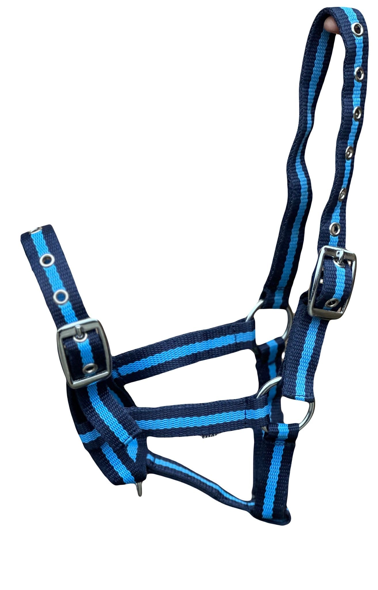 Equipride FOAL HEADCOLLAR HALTER MULTI ADUSTABLE IN 10 AMAZING COLOUR (Navy/B.Blue)