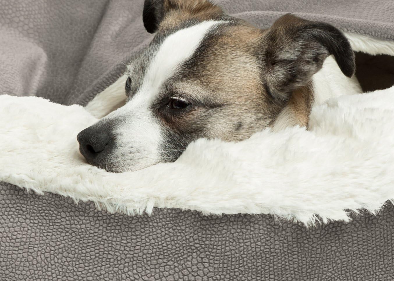 Best Friends by Sheri Cozy Cuddler Luxury Orthopedic Dog and Cat Bed with Hooded Blanket for Warmth and Security - Machine Washable, Water/Dirt Resistant Base - Standard Grey Ilan : Pet Supplies