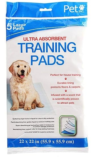 akc westie puppies for sale near me