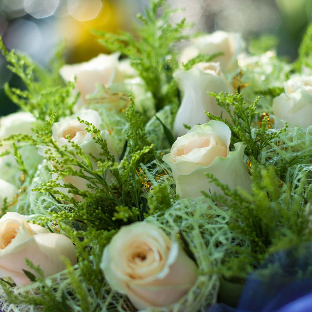 Edited Neue schöne entzückende Blume wohlriechende Blüte weiße Rosen Samen Bonsai Rose Rosensamen Dekorationen Bonsai, 20 Stück