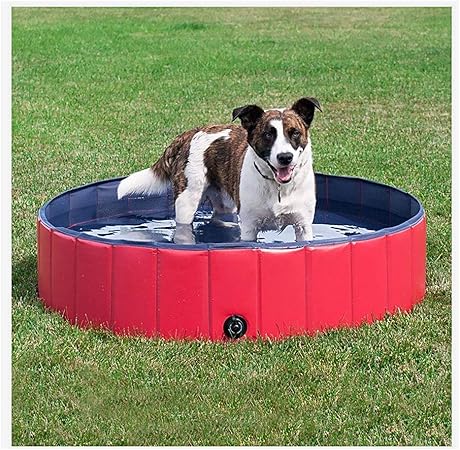 bañeras para perros amazon