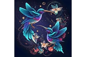 Ksxistiyt Hummingbird Diamond Art Painting Kits for Adults, Full Drill Diamond Dots Paintings for Beginners, Round 5D Paint with Diamonds Pictures Gem Art Painting Kits DIY Crafts Kits 14x14inch