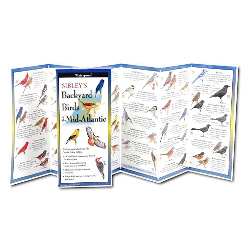 Earth Sky + Water FoldingGuide - Sibley's Backyard Birds of The Mid ...
