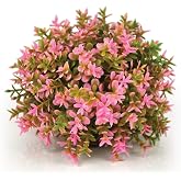 BiOrb 46088.0 Flower Ball Pink Aquariums