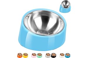 Petvillage Tilted Dog Bowl Non-Slip & Non-Spill Pet Feeder with Elevated Detachable Melamine Stand, Easy to Get Food Dog Dish, S/0.5 Cup Sky Blue