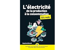 L'électricité de la production à la consommation pour les nuls (French Edition)