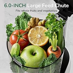Canoly C16 Cold Press Juicer, 6" Extra Wide Feed