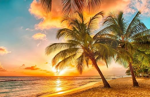 Amazon Com Beautiful Beach Sunset N002 Natural Scenery Art Print Canvas Poster 16x24inch Posters Prints Amazon Com Beautiful Beach Sunset N002 Natural Scenery Art Print Canvas Poster 16x24inch Posters Prints