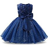 NNJXD Girl Sleeveless Lace 3D Flower Tutu Holiday Princess Dresses