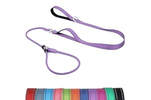 Erbine 6FT Anti-Tangle Slip Leash, No-Pull Slip Leads and Collar for Dogs with Double Padded Handle, Reflective Nylon Training Lead for Small Medium Dogs, Purple