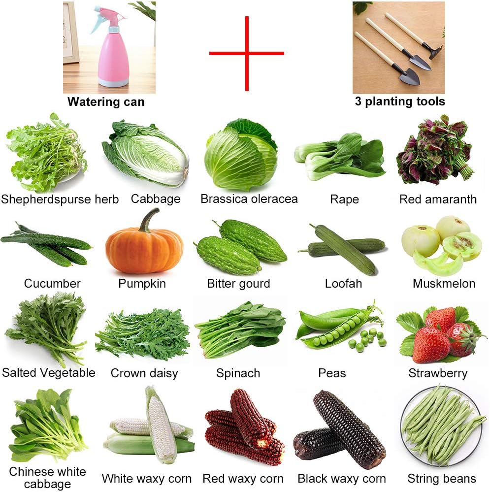 Vegetable Seeds -Easy to Grow - Variety of The Most Popular Vegetable Seeds for Planting-Garden Seeds Set Including Watering Can Planting Tools