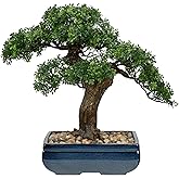 Artificial Bonsai Tree Juniper Faux Plants Indoor Fake Plants Decor with Blue Square Ceramic Pots for Home Table Office Desk Bathroom Shelf Bedroom Living Room Farmhouse Decorations