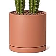 D'vine Dev Large 10 Inch Terracotta Plant Pot with Drainage Hole and Saucer, Round Cylinder Planter Pot for Indoor Plants, 40-X-A-5