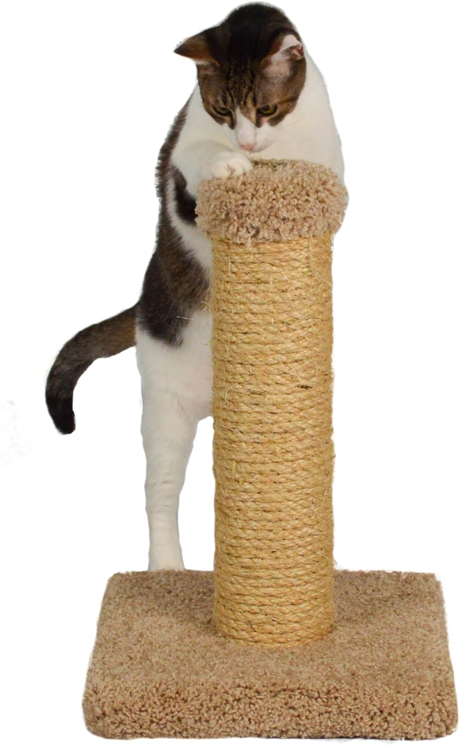 handmade cat scratching post