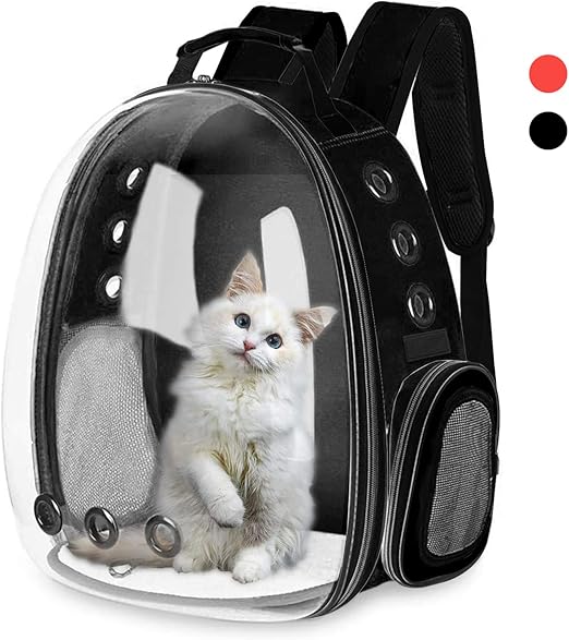 cat bubble backpack amazon