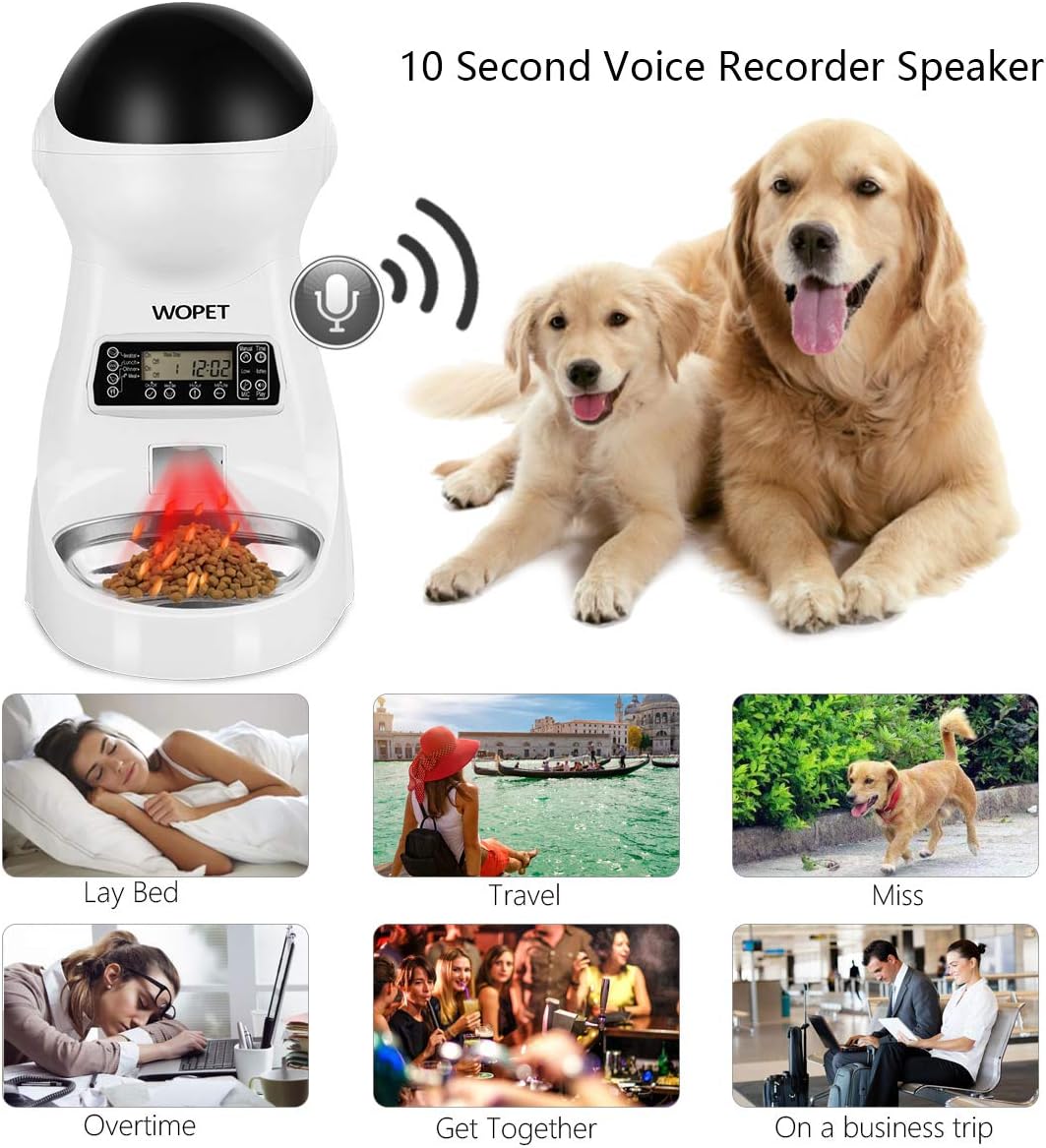Pet Supplies : WOPET Automatic Cat Feeder, 3L Auto Dog Food Dispenser with Stainless Steel Food Bowl, 1-4 Meals per Day Voice Recorder and Portion Control for Small & Medium Pets : 