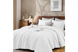 DOWN HOME Queen Quilt Bedding Set with Shams, Lightweight Bedspread Coverlet Thin Comforter Bed Cover Soft Quilted Blanket Sp