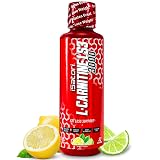 isatori l carnitine ls3 iSatori Liquid L-Carnitine LS3 3000