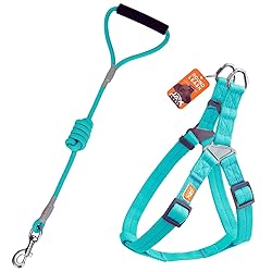 Jax Planet Dog Harness and Leash - Comfortable
