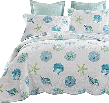 Amazon Com Brandream Seashells Beach Themed Coastal Bedding Queen