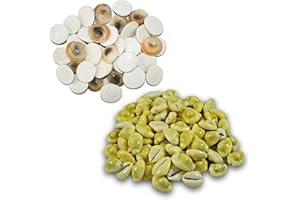 BRIJ HAAT Natural 30 Pcs gomati Chakra | 30 Pcs Yellow Kaudi, for Wealth, Health & Success