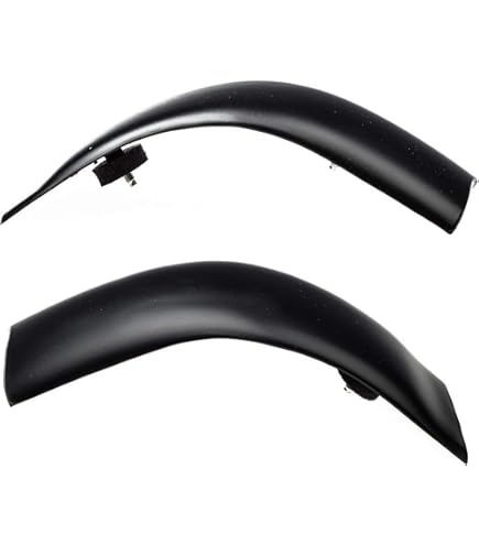 Amazon.com: Ford Genuine CJ5Z-7820878-AA Door Molding