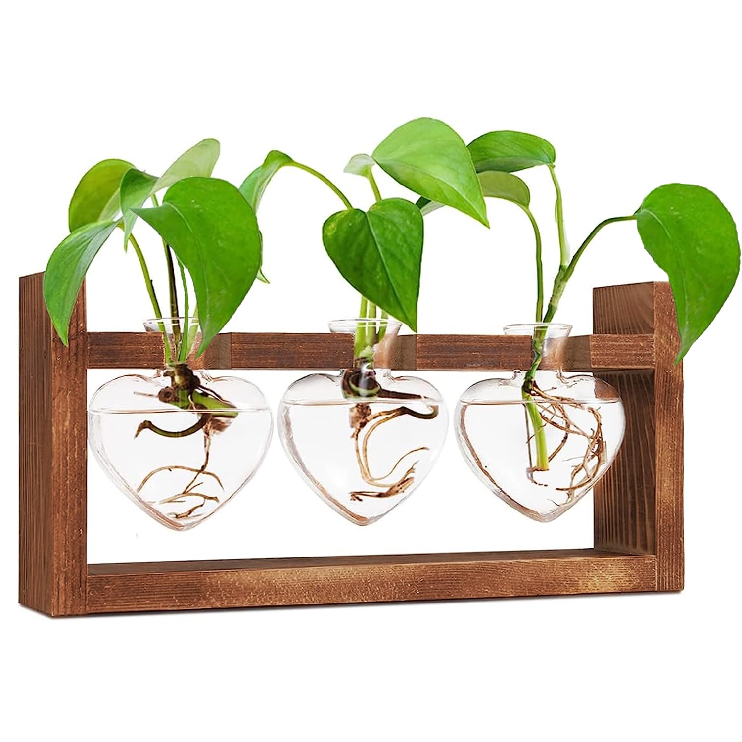 Plant Lover Gifts,Ompinda Desktop Glass Plant Terrarium Propagation Station Hydroponics Plants Vase with Wooden Stand for Home/Office Decor (3 Bulb Containers) (Heart)