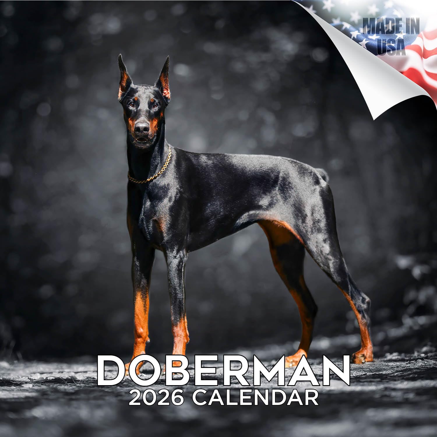 Doberman Calendar 2026 – 16-Month Dog Breed Wall Calendar by MegaCalendars – Large Daily Blocks, Thick No-Bleed Paper, Made in USA
