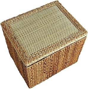 Yqzq- Taburete de ratán del hogar Taburete Plegable de Almacenamiento