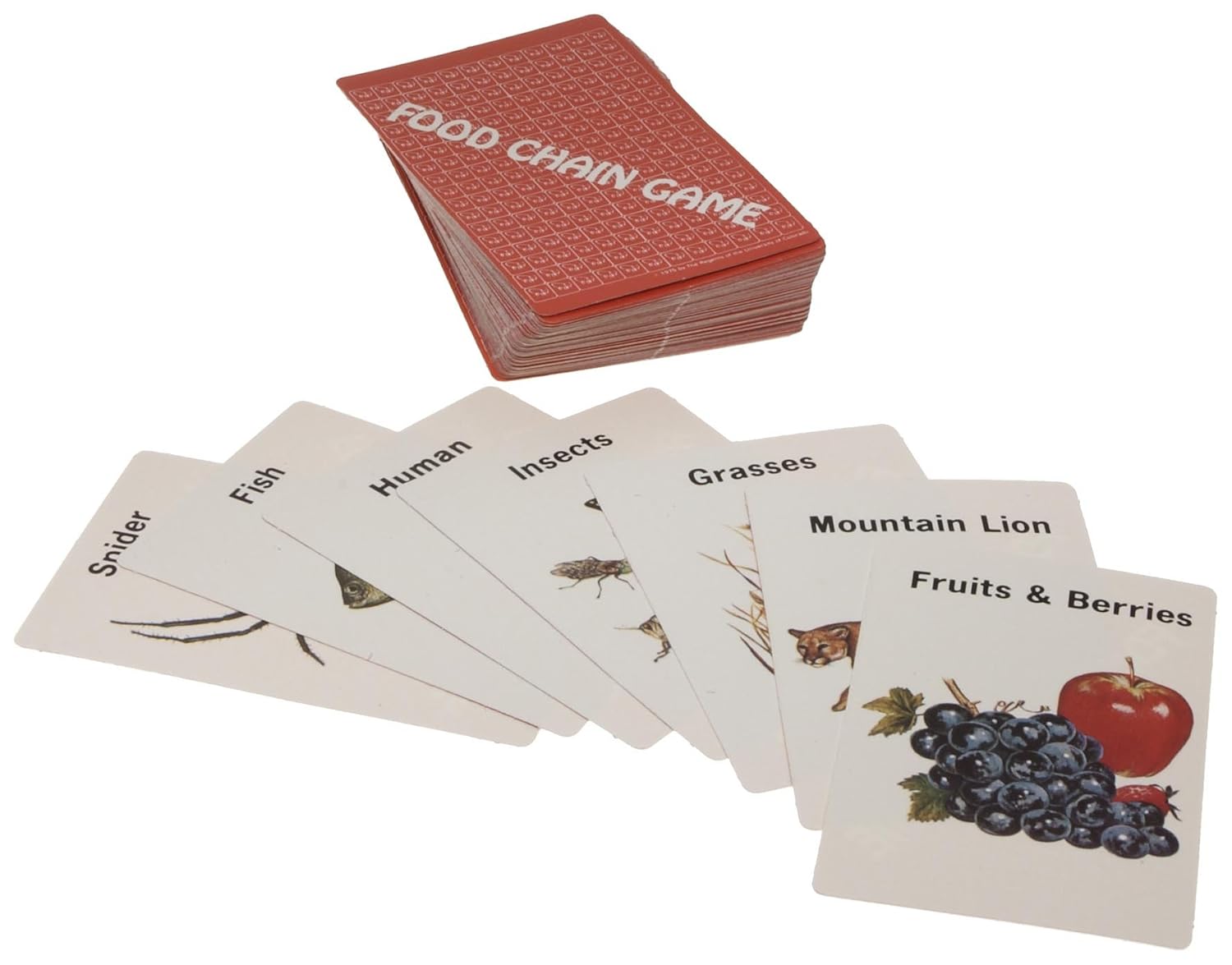 American Educational Food Chain Card Game Deck Industrial