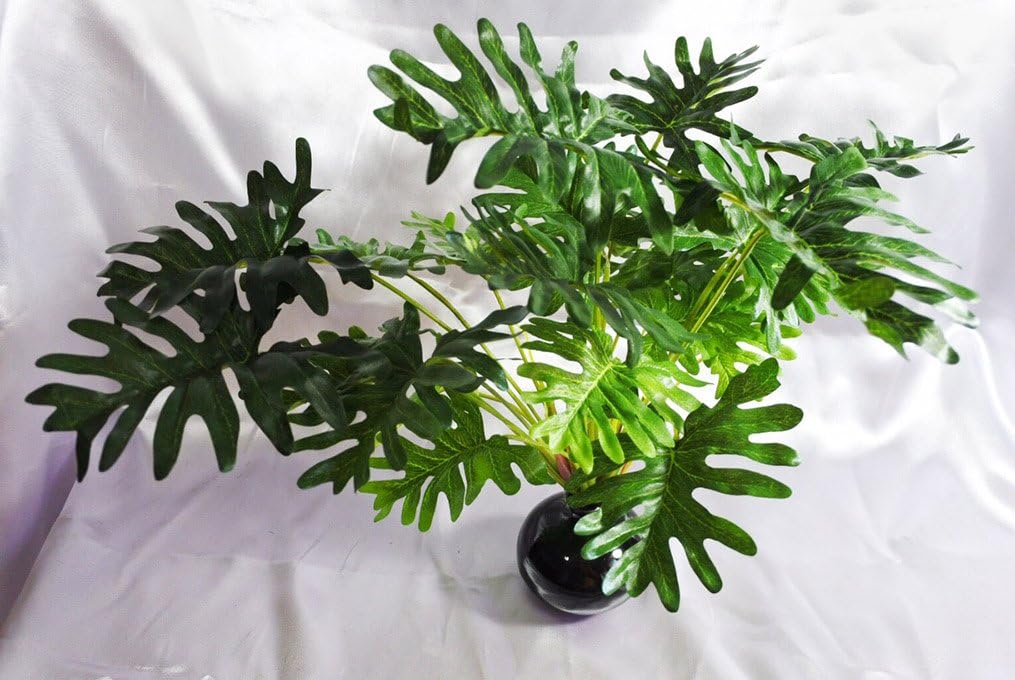 Artificial Philodendron