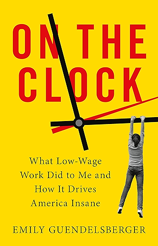 Download On the Clock: What Low-Wage Work Did to Me and How It Drives America Insane (English Edition) PDF